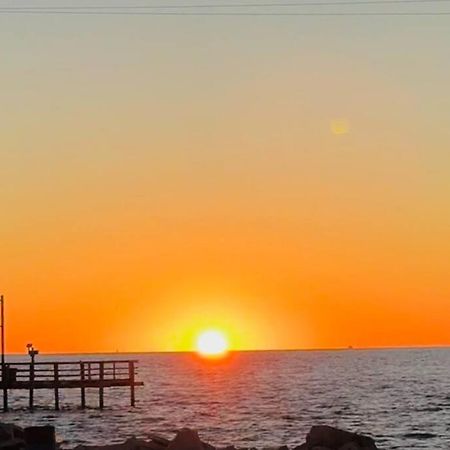 Pet Friendly Tranquil Cottage With Fire-Pit And Seasonal Hot Tub Sept-March Minutes To Beaches Dauphin Island Buitenkant foto