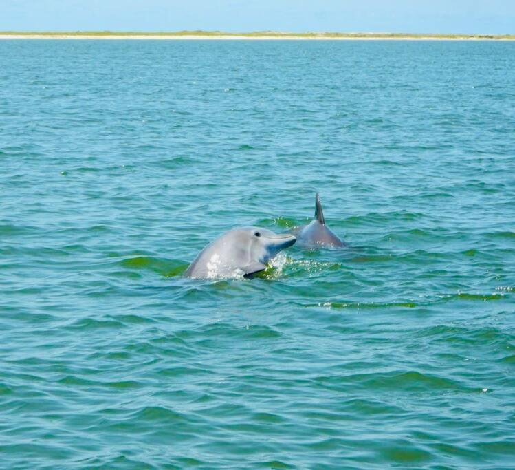Pet Friendly Tranquil Cottage With Fire-Pit And Seasonal Hot Tub Sept-March Minutes To Beaches Dauphin Island Buitenkant foto